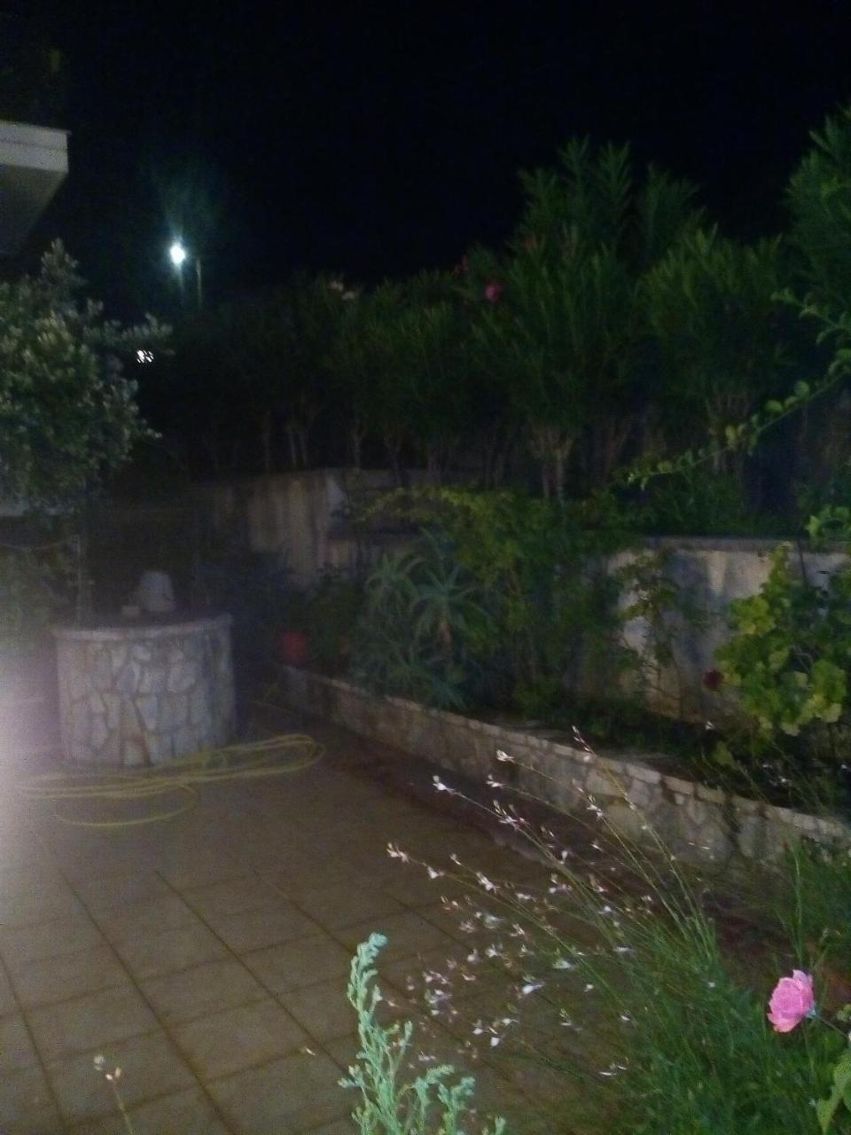 Studio Garden View