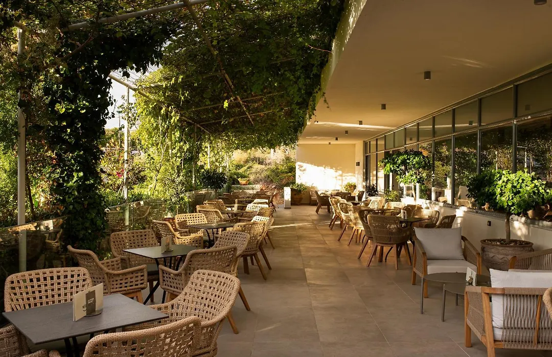 Mediterranee-1
