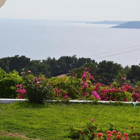 Mediterranean Studios-2
