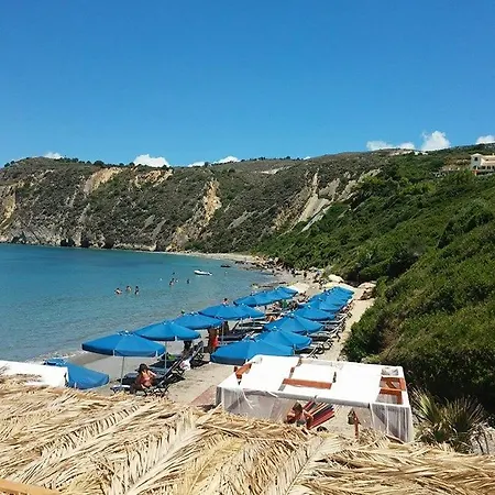 Mandola suite-3