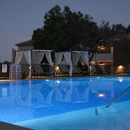 Aligis Studios-2