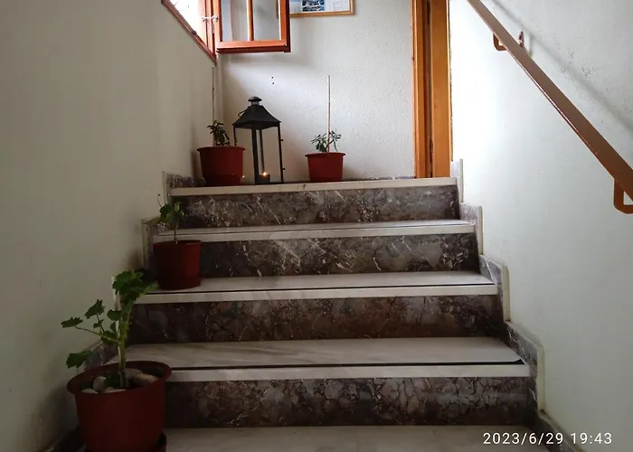Sarlos Studios Argostoli (Kefalonia) che accetta animali