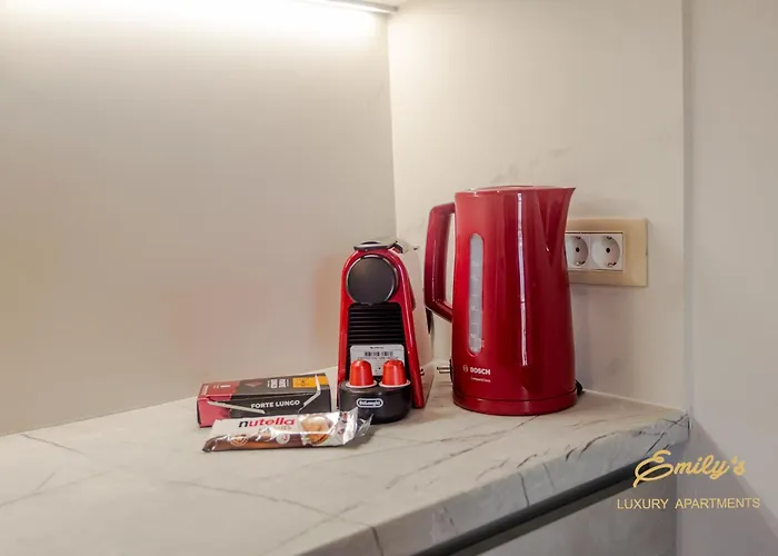 Emily'S Luxury Apartments Argostoli  che accetta animali