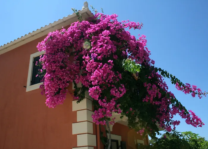 Avra Private Suites Lassi 