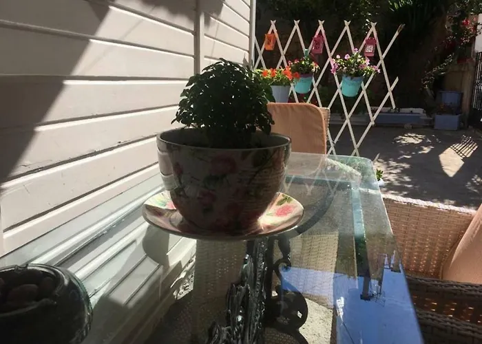 Villa Cozy House In Argostoli che accetta animali